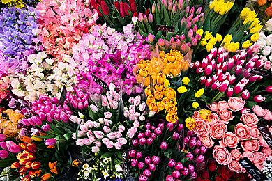 《神奇男孩：龙之陷井》PS5版本即将发售，经典游戏焕然一新，再次归来！